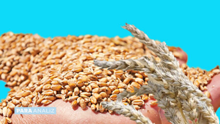 Hububat ihracatı Ocak’ta 1,03 milyar dolar oldu